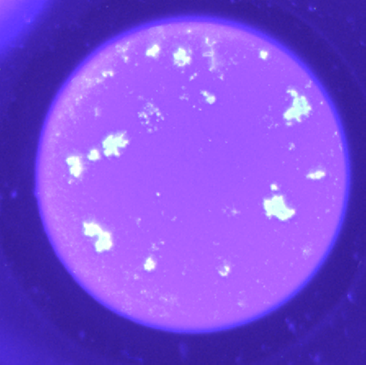 Active pharmaceutical ingredient measurement by image analysis